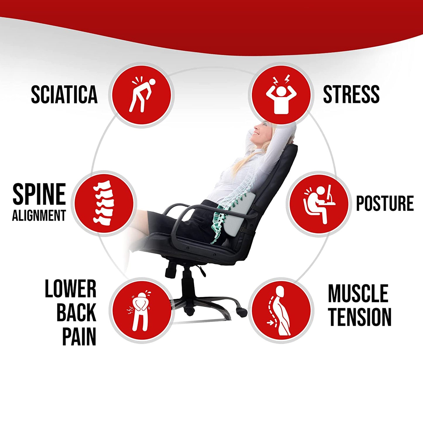 Addmax Heated Lumbar Support Pillow for Office Chair - 3 Adjustable Heat Level Back Support Cushion
